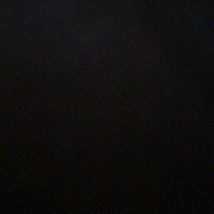 Meet your Posher, Dillion